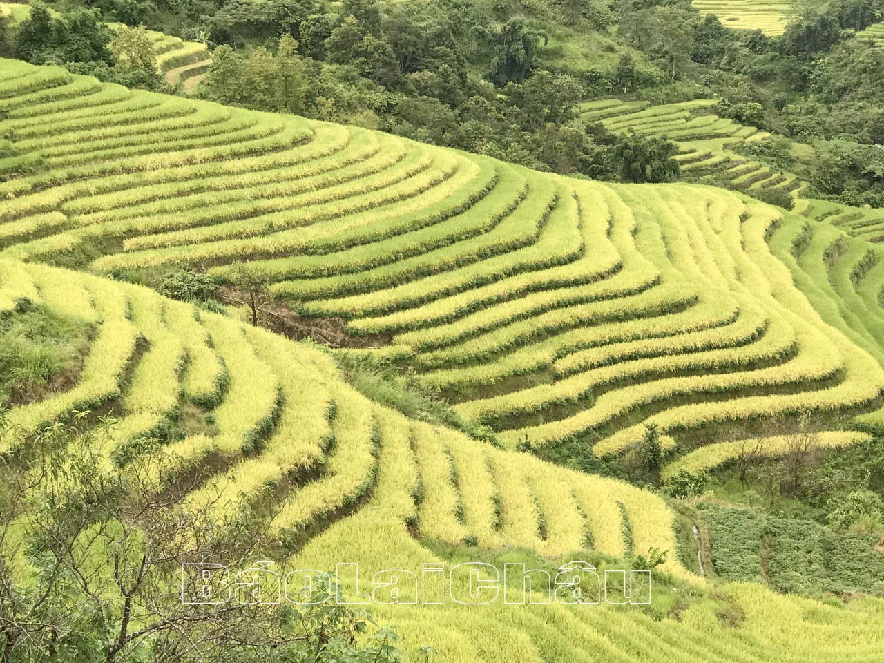 Vẻ đẹp nao lòng từ những thửa ruộng bậc thang.